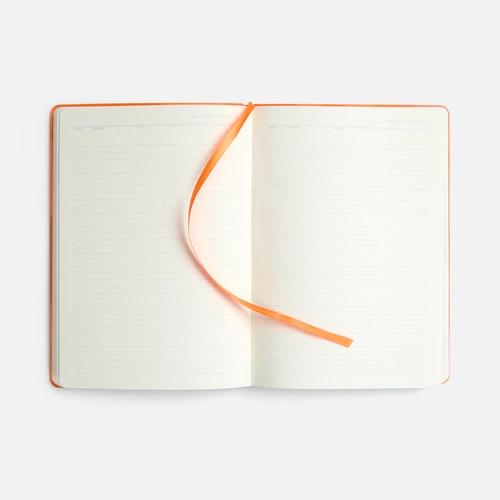 Ежедневник Vale New, недатированный, оранжевый Ежедневник Vale New, недатированный, оранжевый