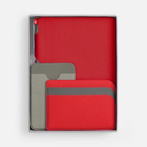 Набор Flexpen Dual, красный Набор Flexpen Dual, красный