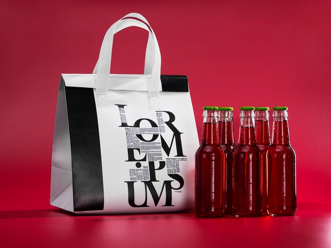 Термосумка «Термобэг» с печатью на заказ, L Термосумка «Термобэг» с печатью на заказ, L