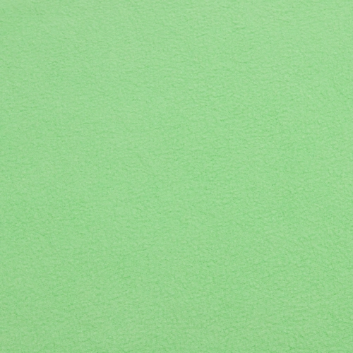 Флисовый плед Warm&Peace, светло-зеленый Флисовый плед Warm&Peace, светло-зеленый