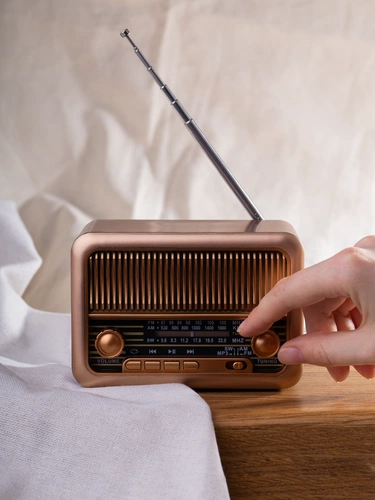 Bluetooth-колонка с радио Beatnik, коричневая Bluetooth-колонка с радио Beatnik, коричневая