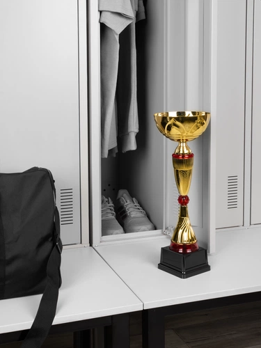 Кубок Awardee, большой, красный Кубок Awardee, большой, красный