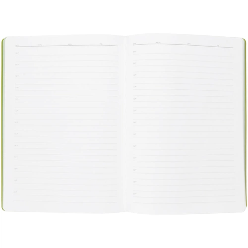 Ежедневник Flexpen, недатированный, серебристо-зеленый Ежедневник Flexpen, недатированный, серебристо-зеленый