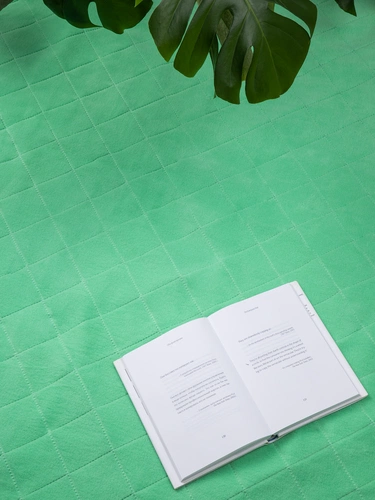 Плед для пикника Soft & Dry 2, светло-зеленый Плед для пикника Soft & Dry 2, светло-зеленый