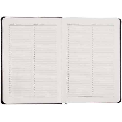 Ежедневник Alanis, недатированный, черный с фиолетовым Ежедневник Alanis, недатированный, черный с фиолетовым