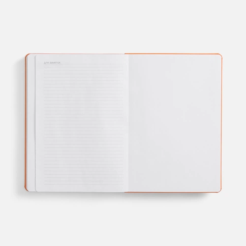 Ежедневник Basis, датированный, оранжевый Ежедневник Basis, датированный, оранжевый