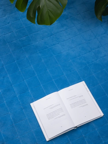 Плед для пикника Soft & Dry 2, ярко-синий Плед для пикника Soft & Dry 2, ярко-синий