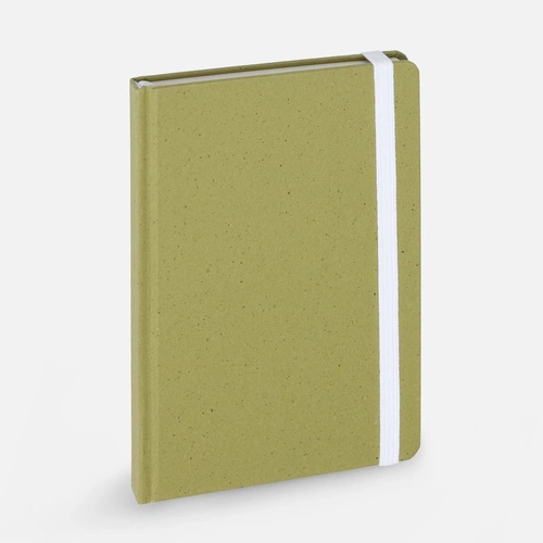 Блокнот Lactonica, зеленый Блокнот Lactonica, зеленый