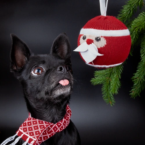 Елочный шар «Дедушка Мороз» Елочный шар «Дедушка Мороз»