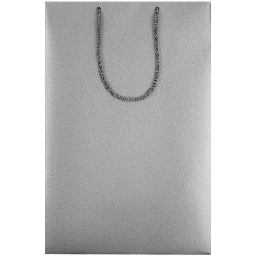 Пакет бумажный «Блеск», средний, серебристый Пакет бумажный «Блеск», средний, серебристый