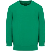 Свитшот детский Columbia Kids, ярко-зеленый