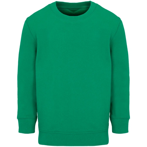 Свитшот детский Columbia Kids, ярко-зеленый Свитшот детский Columbia Kids, ярко-зеленый