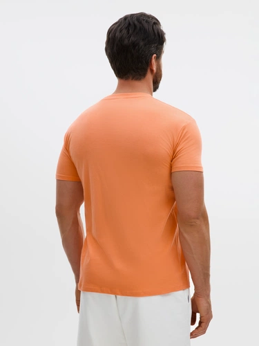 Футболка унисекс Regent 150, оранжевая (абрикосовая) Футболка унисекс Regent 150, оранжевая (абрикосовая)