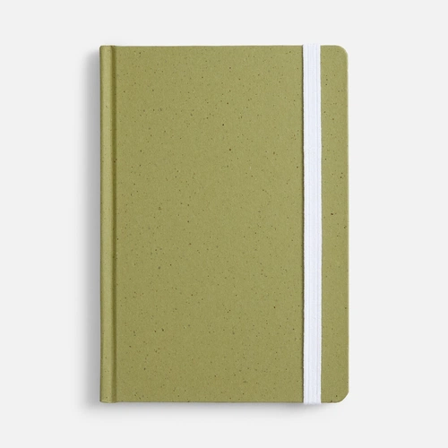 Блокнот Lactonica, зеленый Блокнот Lactonica, зеленый