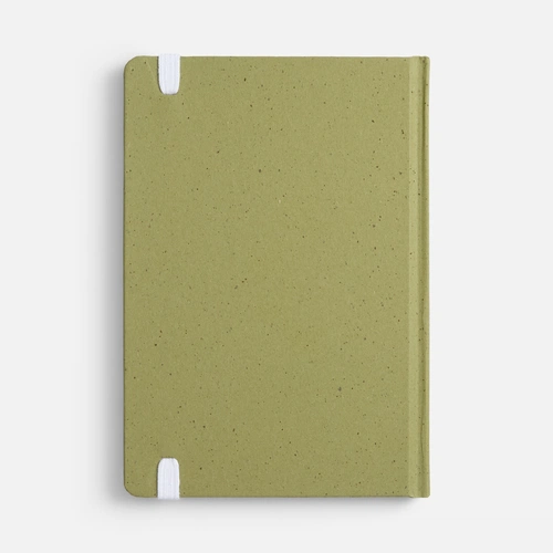 Блокнот Lactonica, зеленый Блокнот Lactonica, зеленый