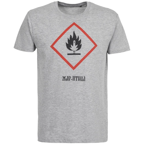 Футболка «Жар-птица», серый меланж Футболка «Жар-птица», серый меланж