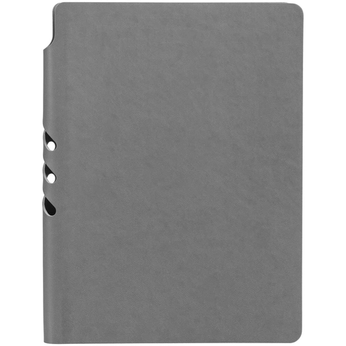 Ежедневник Flexpen Color, датированный, серый Ежедневник Flexpen Color, датированный, серый