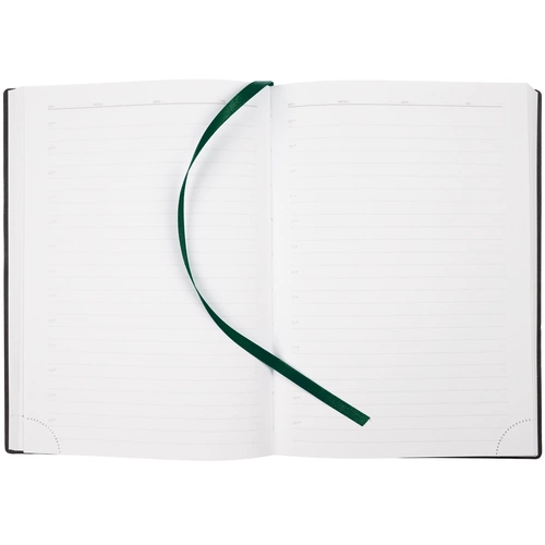 Ежедневник Vivian, недатированный, зеленый Ежедневник Vivian, недатированный, зеленый