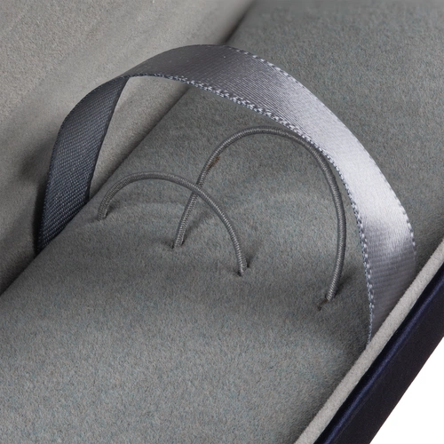 Футляр для ручек Coverty Plus, ver.2, синий Футляр для ручек Coverty Plus, ver.2, синий