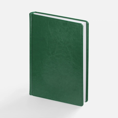 Ежедневник New Nebraska, датированный, зеленый Ежедневник New Nebraska, датированный, зеленый
