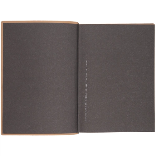 Ежедневник Anaconda, недатированный, серебристый Ежедневник Anaconda, недатированный, серебристый