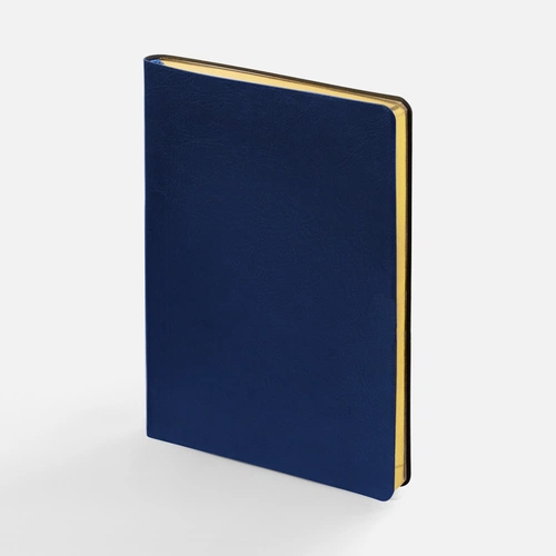 Ежедневник Nebraska Flex, недатированный, синий с золотистым Ежедневник Nebraska Flex, недатированный, синий с золотистым