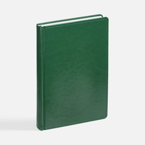 Ежедневник New Nebraska, датированный, зеленый Ежедневник New Nebraska, датированный, зеленый