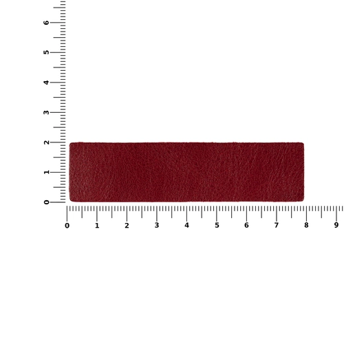 Лейбл кожаный Pasek, красный Лейбл кожаный Pasek, красный