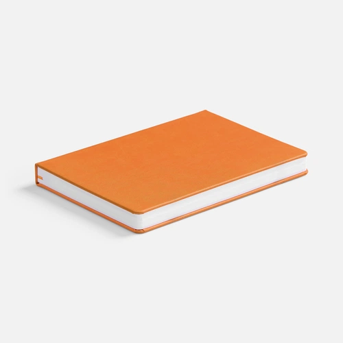 Ежедневник Basis, датированный, оранжевый Ежедневник Basis, датированный, оранжевый
