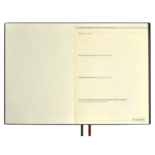 Ежедневник Avila, недатированный, черный Ежедневник Avila, недатированный, черный