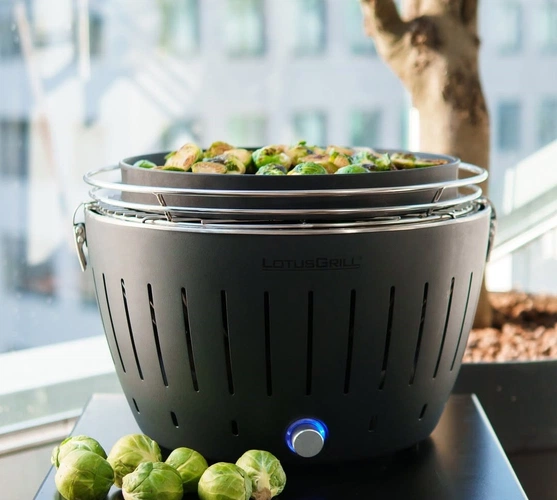 Угольный гриль Lotus Grill Classic, серый (антрацит) Угольный гриль Lotus Grill Classic, серый (антрацит)