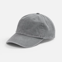 Бейсболка Berwi, серая