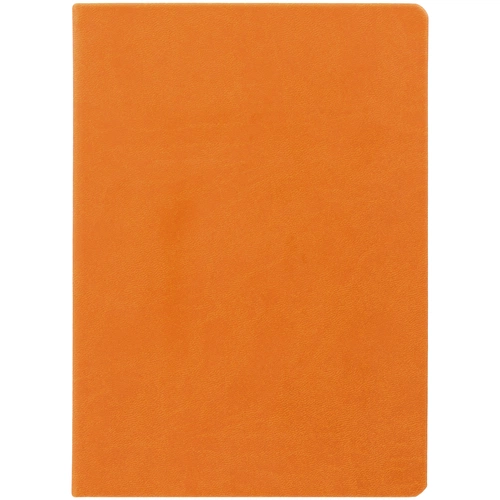 Ежедневник Basis, датированный, оранжевый Ежедневник Basis, датированный, оранжевый