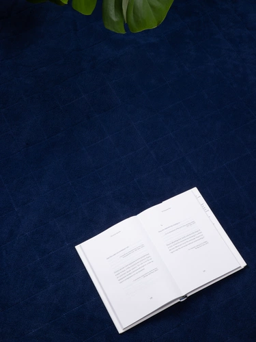 Плед для пикника Soft & Dry 2, синий Плед для пикника Soft & Dry 2, синий