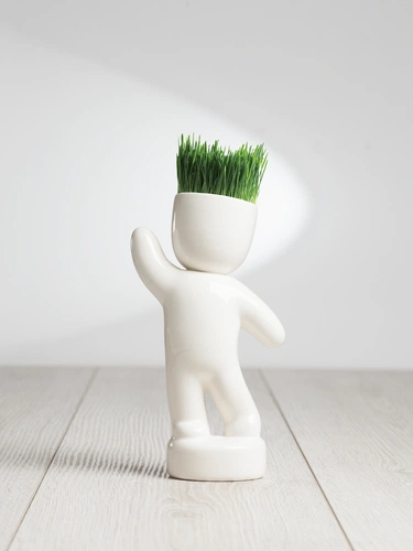 Набор для выращивания Funky Buddy Набор для выращивания Funky Buddy