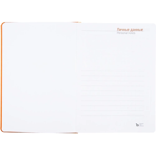 Ежедневник Basis, датированный, оранжевый Ежедневник Basis, датированный, оранжевый