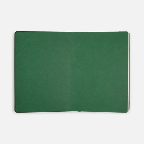 Ежедневник Shall, недатированный, зеленый Ежедневник Shall, недатированный, зеленый