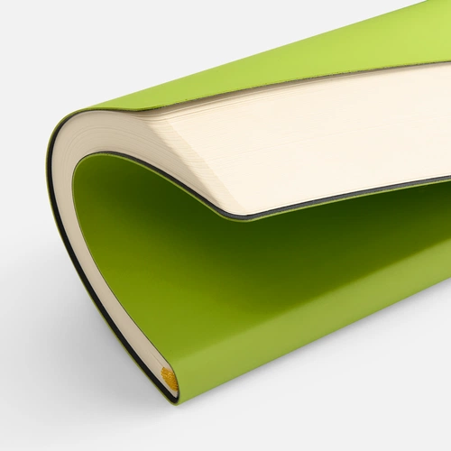 Ежедневник Flex Shall New, недатированный, светло-зеленый Ежедневник Flex Shall New, недатированный, светло-зеленый