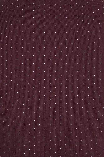 Рубашка поло мужская Brandy Men, белая с темно-синим Рубашка поло мужская Brandy Men, белая с темно-синим