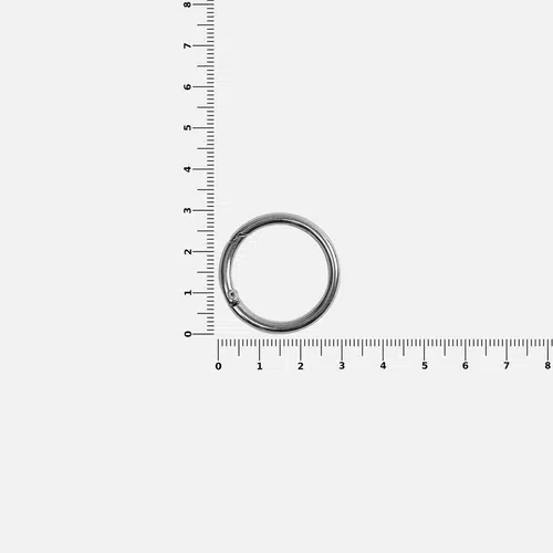 Карабин-кольцо Claus, L, серебристый Карабин-кольцо Claus, L, серебристый
