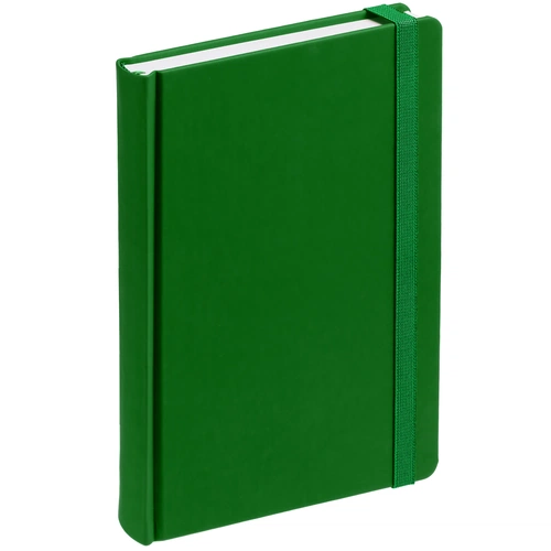 Ежедневник Favor, недатированный, ярко-зеленый Ежедневник Favor, недатированный, ярко-зеленый