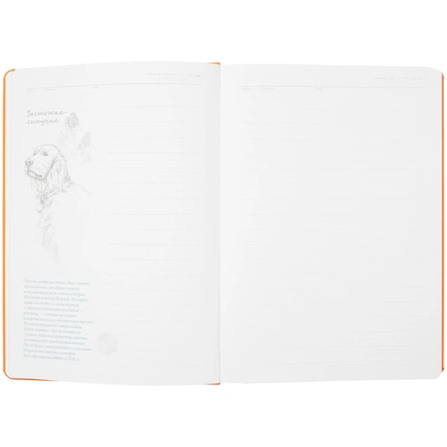 Ежедневник «История изобретений», недатированный, оранжевый Ежедневник «История изобретений», недатированный, оранжевый