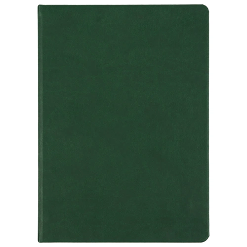 Ежедневник Basis, датированный, зеленый Ежедневник Basis, датированный, зеленый