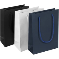 Пакет бумажный Vid S