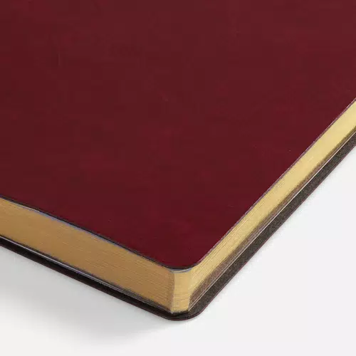 Ежедневник Nebraska Flex, недатированный, бордовый с золотистым Ежедневник Nebraska Flex, недатированный, бордовый с золотистым