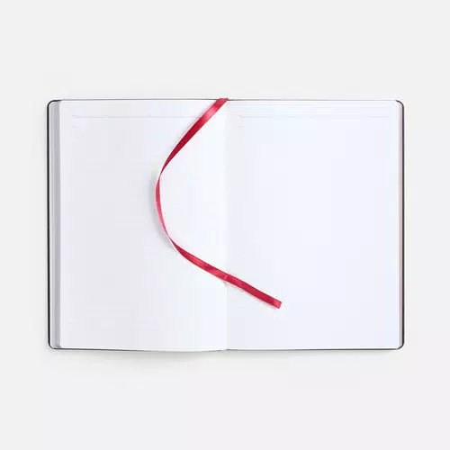 Ежедневник Nebraska Flex, недатированный, бордовый с золотистым Ежедневник Nebraska Flex, недатированный, бордовый с золотистым