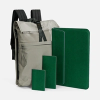 Набор Petrus Travel, зеленый