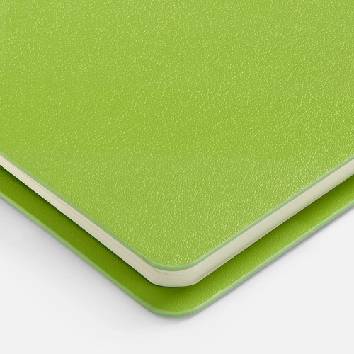 Ежедневник Ringo, недатированный, зеленый Ежедневник Ringo, недатированный, зеленый