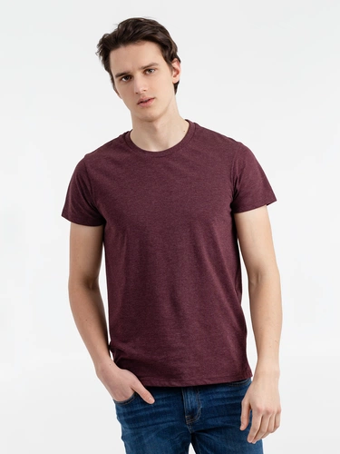 Футболка мужская Regent Fit 150, бордовый меланж Футболка мужская Regent Fit 150, бордовый меланж