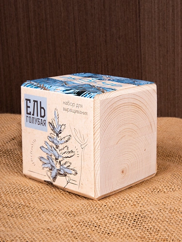Набор для выращивания «Экокуб», ель голубая Набор для выращивания «Экокуб», ель голубая
